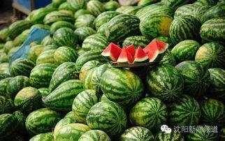 泰国西瓜最新爆料,揭秘神秘事件背后的真相 第2张 泰国西瓜最新爆料,揭秘神秘事件背后的真相 第2张